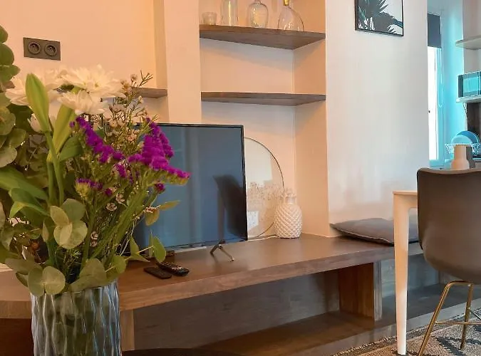 Centre Apartman Biarritz